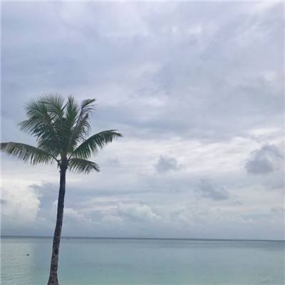 昆仑有剑手游下载